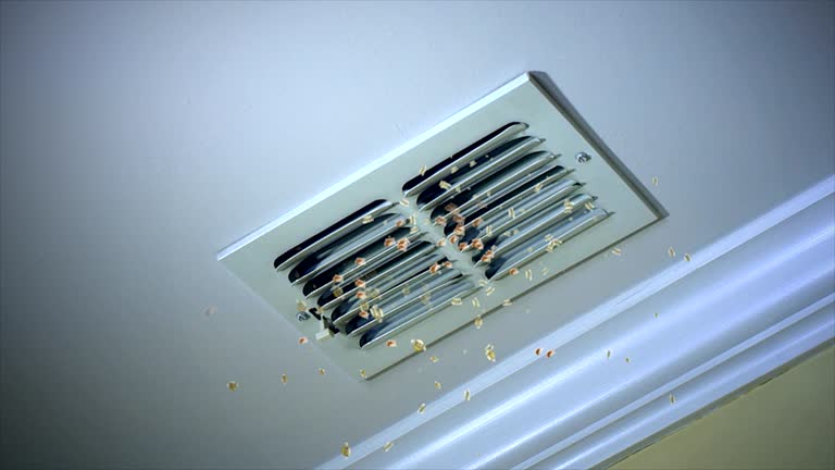 Best Affordable HVAC Duct Cleaning  in Maynardville, TN