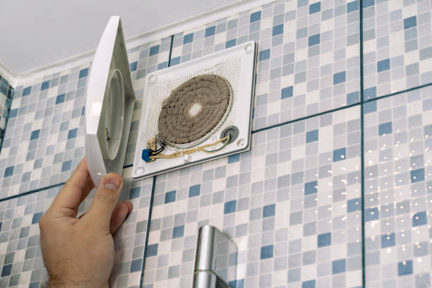 Best Affordable Duct Cleaning Services  in Maynardville, TN